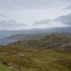 2018